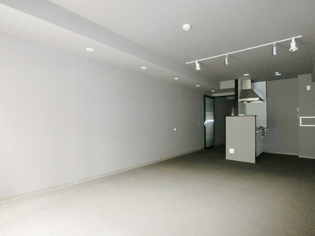 ペット可！お得な地下室 208の内観