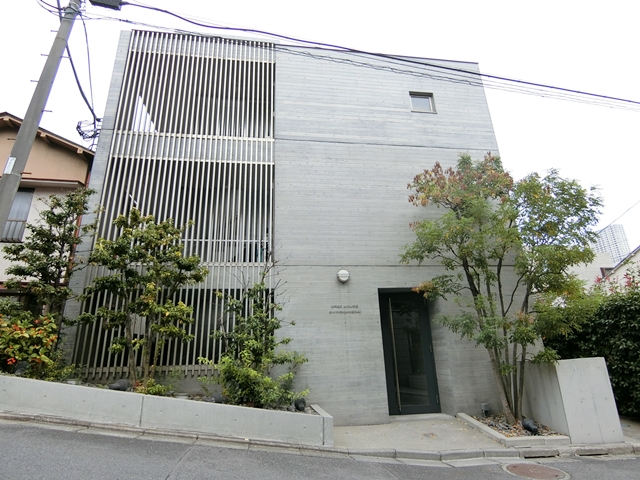 妥協しないシロカネーゼ 304の外観