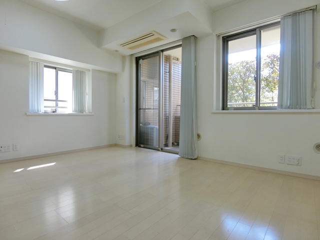 緑が見えるバルコニー 204の内観