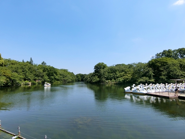 私の庭は井の頭 2Bの内観