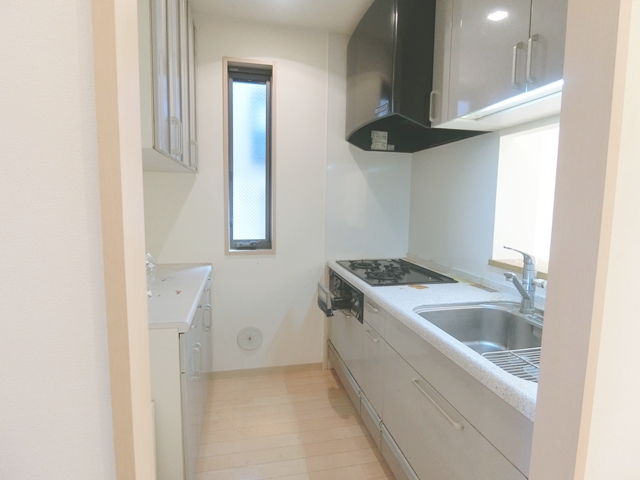 ほぼ、庭付2階の戸建て 101の内観