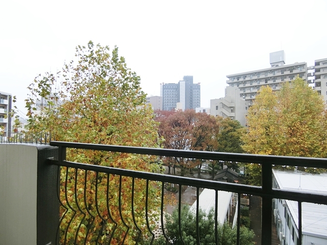 ほのぼの自然派リノべ 502の内観