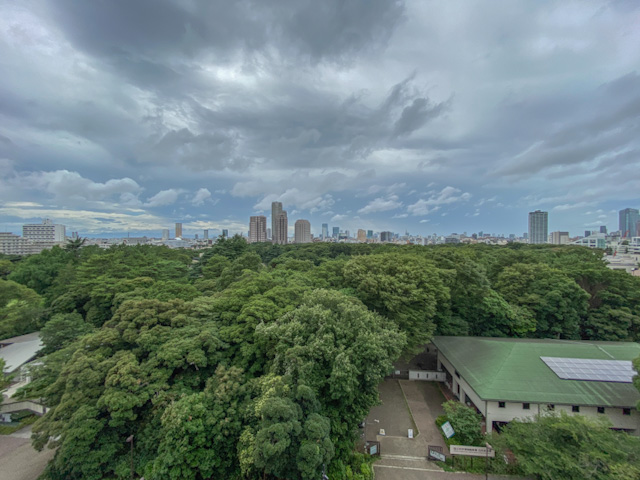 緑がみえる家 1002の内観