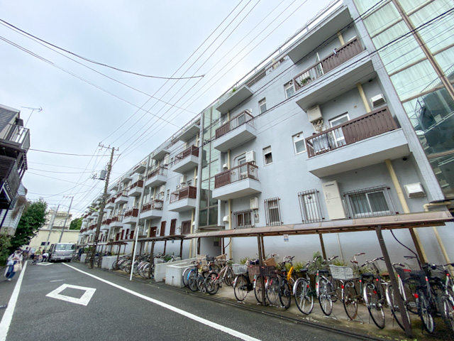 緑道散歩 301の内観