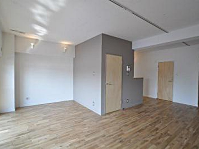 おしゃれな広い1R 305の内観