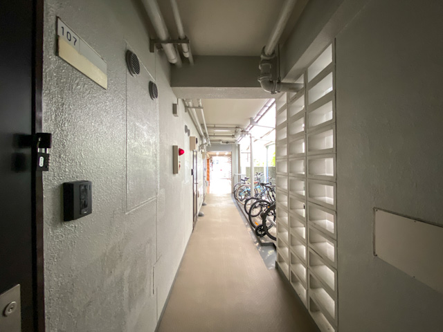 緑の見えるリノベ部屋 107の内観