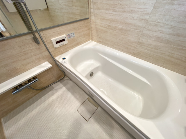 落ち着いた暮らし 603の内観