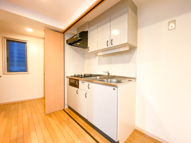 幻のワンルーム 101の内観