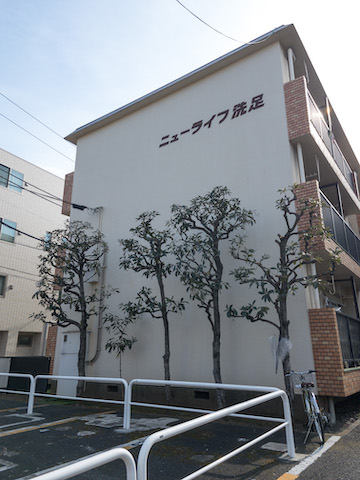 ナチュラル主義者 106の内観