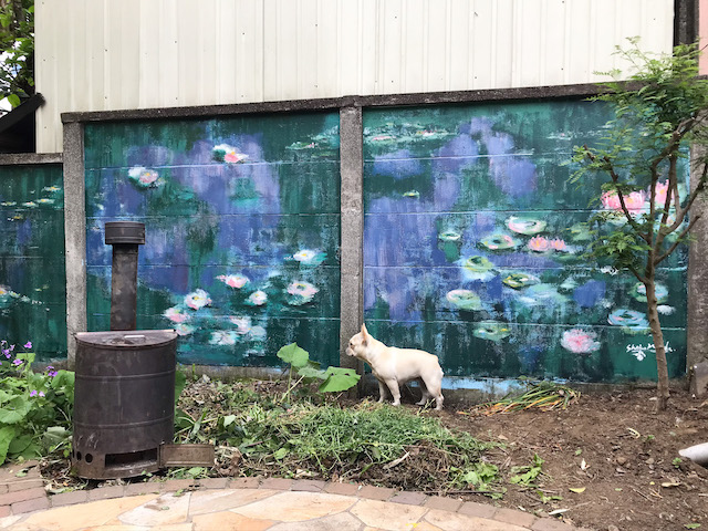 みんなで創るキッチンガーデン(エルダー) 4の内観