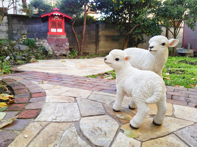 みんなで創るキッチンガーデン(エルダー) 4の内観