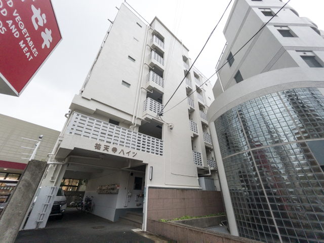 yellow door 204の内観