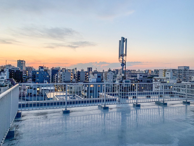 のんびり猫暮らし 202の内観