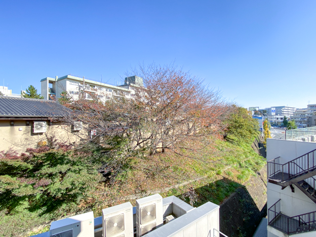 南向きの楽園 505の内観