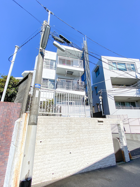 ペットと暮らす部屋 304の内観