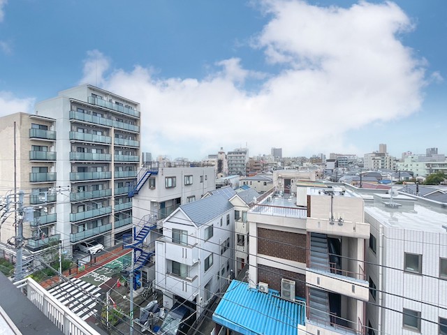 豆柴と東京庭園 501の内観