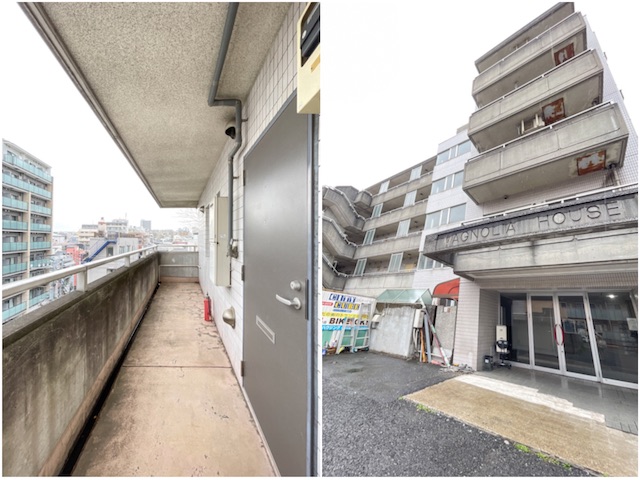 豆柴と東京庭園 501の内観