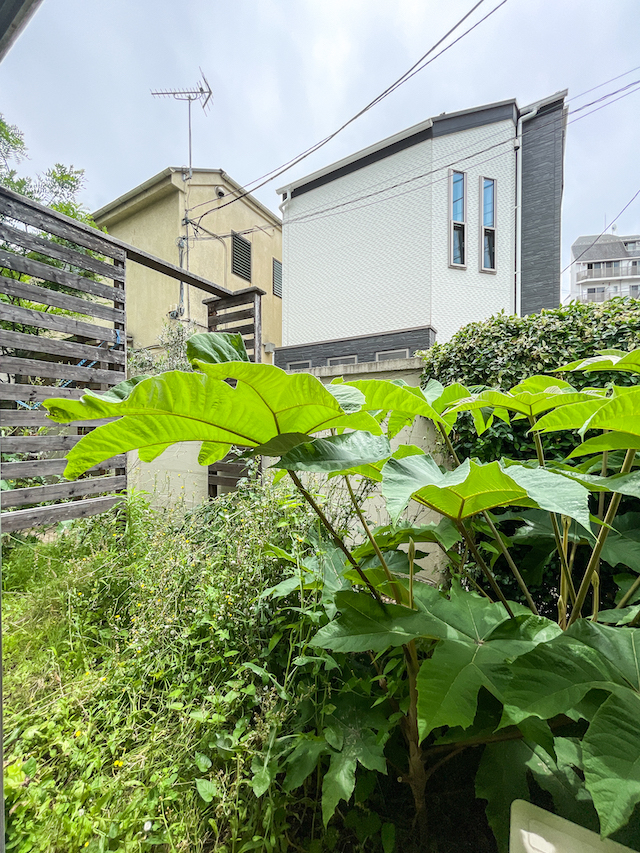 都心でペットと共に暮らす 1の内観