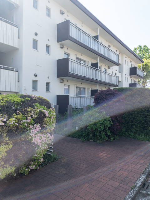 ほっこり和室風 2-203の内観