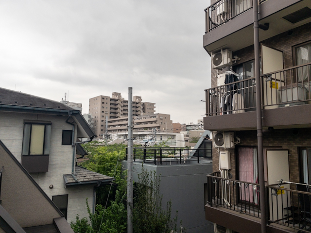 森の中 3の内観