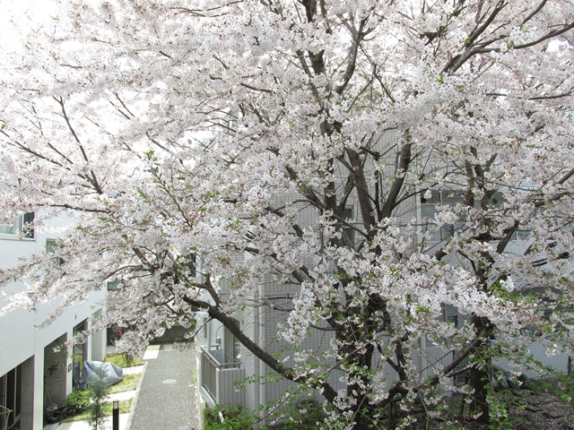 そうだ 、家に帰ろう 3Cの内観