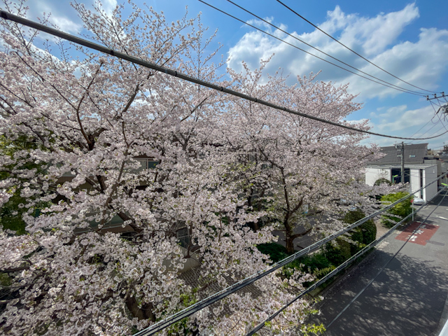 お花見特等席 301の外観