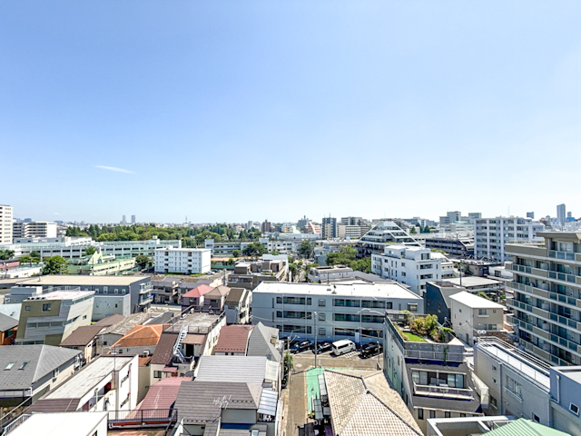 お庭と自由なペントハウス 1001の内観