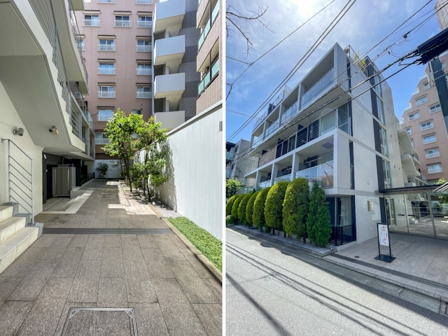 緑をうつす洗練デザイナーズ② 202の内観