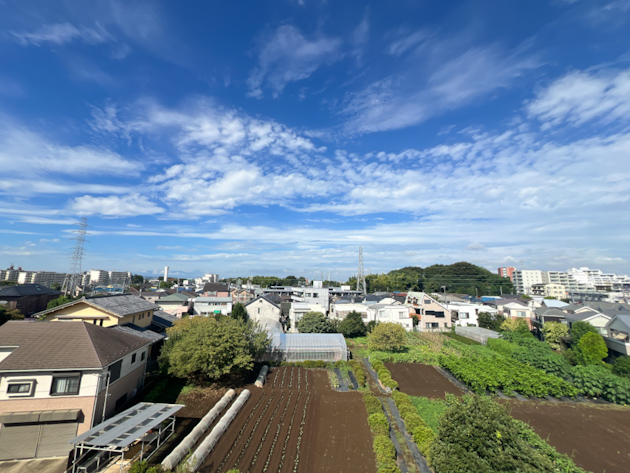 skydeckのある生活 305の内観