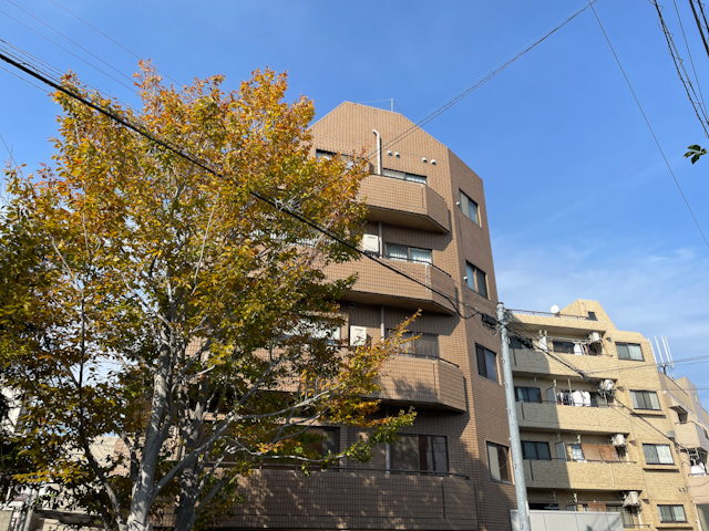 ブナの木と暮らす 401の内観