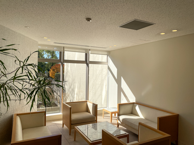 木漏れ日の記憶 101の内観