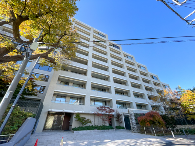 木漏れ日の記憶 101の内観