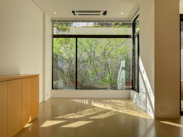 木漏れ日の記憶 101の内観