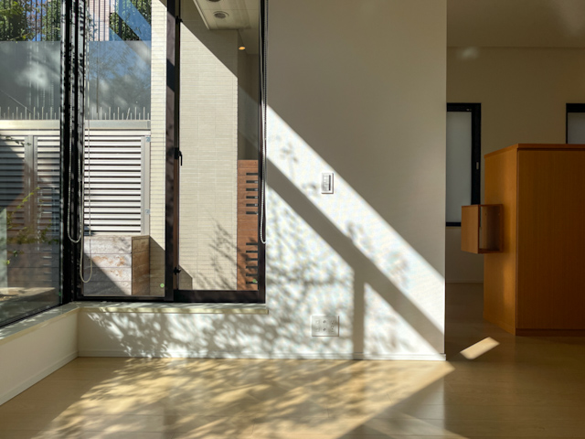 木漏れ日の記憶 101の内観