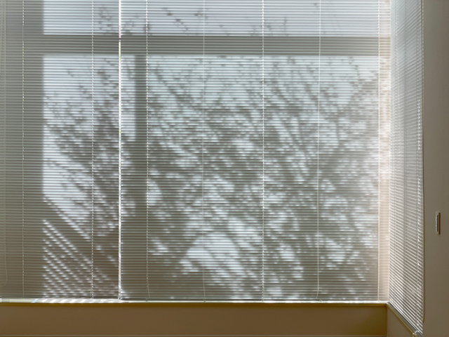 木漏れ日の記憶 101の内観