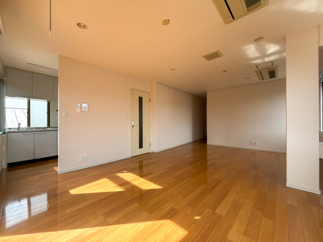 なんか、すごくいい桜新町 302の内観