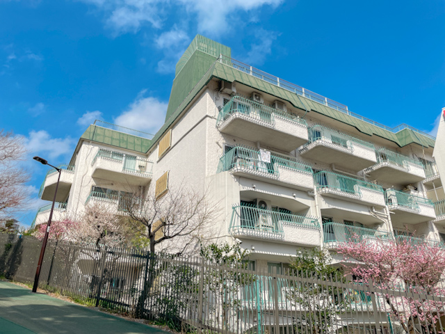 春を待つ香り 501の内観