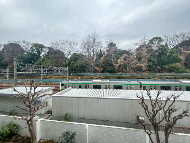 ヴィンテージにかわいさを添えて 312の内観