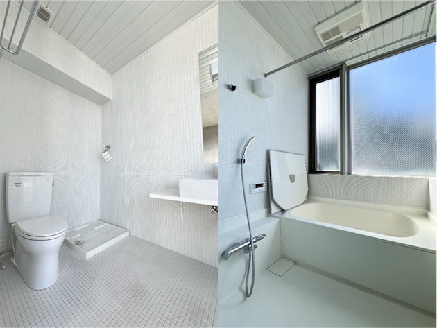 欲しいもの全部 10の内観