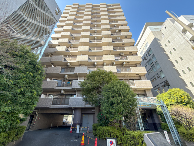 朝陽から夕陽まで彩る 1107の内観