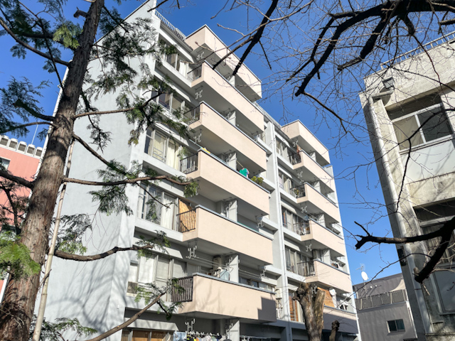 一面は、景色 604の内観