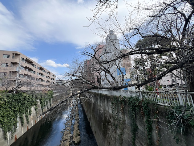 リノベのお手本 802の内観
