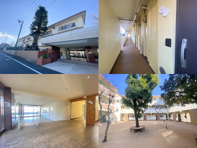 緑と風とリノベーション 326の内観