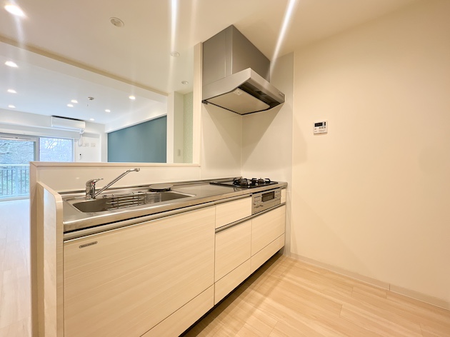 緑と風とリノベーション 326の内観