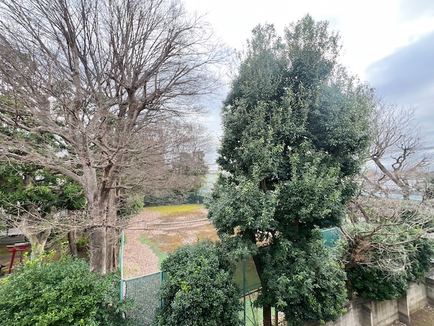 緑と風とリノベーション 326の内観