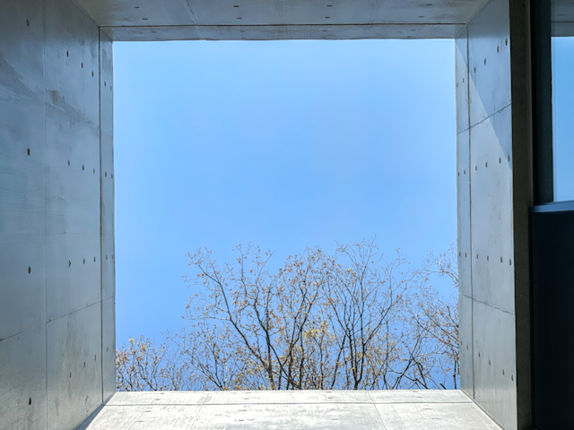 空美術館 Cの内観
