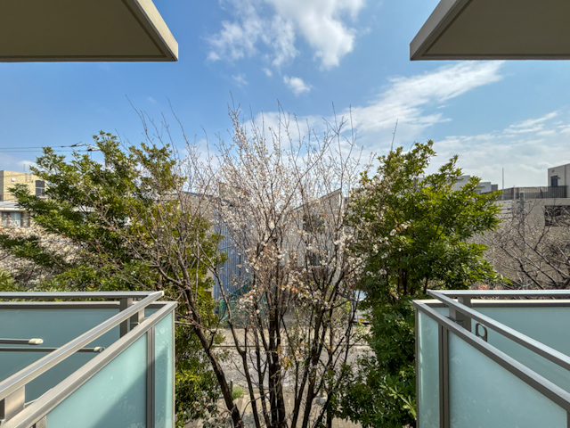 桜が好き 323の内観