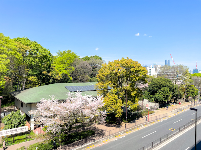 緑景を借景に 503の外観