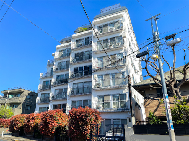 風が気持ちいい 501の内観