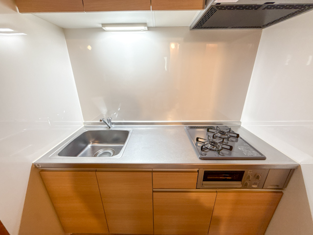 そうそうこれこれ。 101の内観